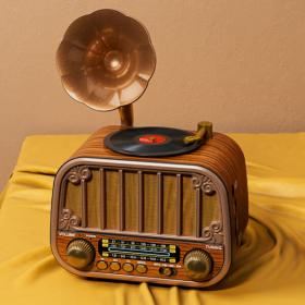 Radio rétro sans fil Bluetooth FM AM SW avec USB TF MD-1319BT – مكبر صوت بلوتوث على شكل راديو